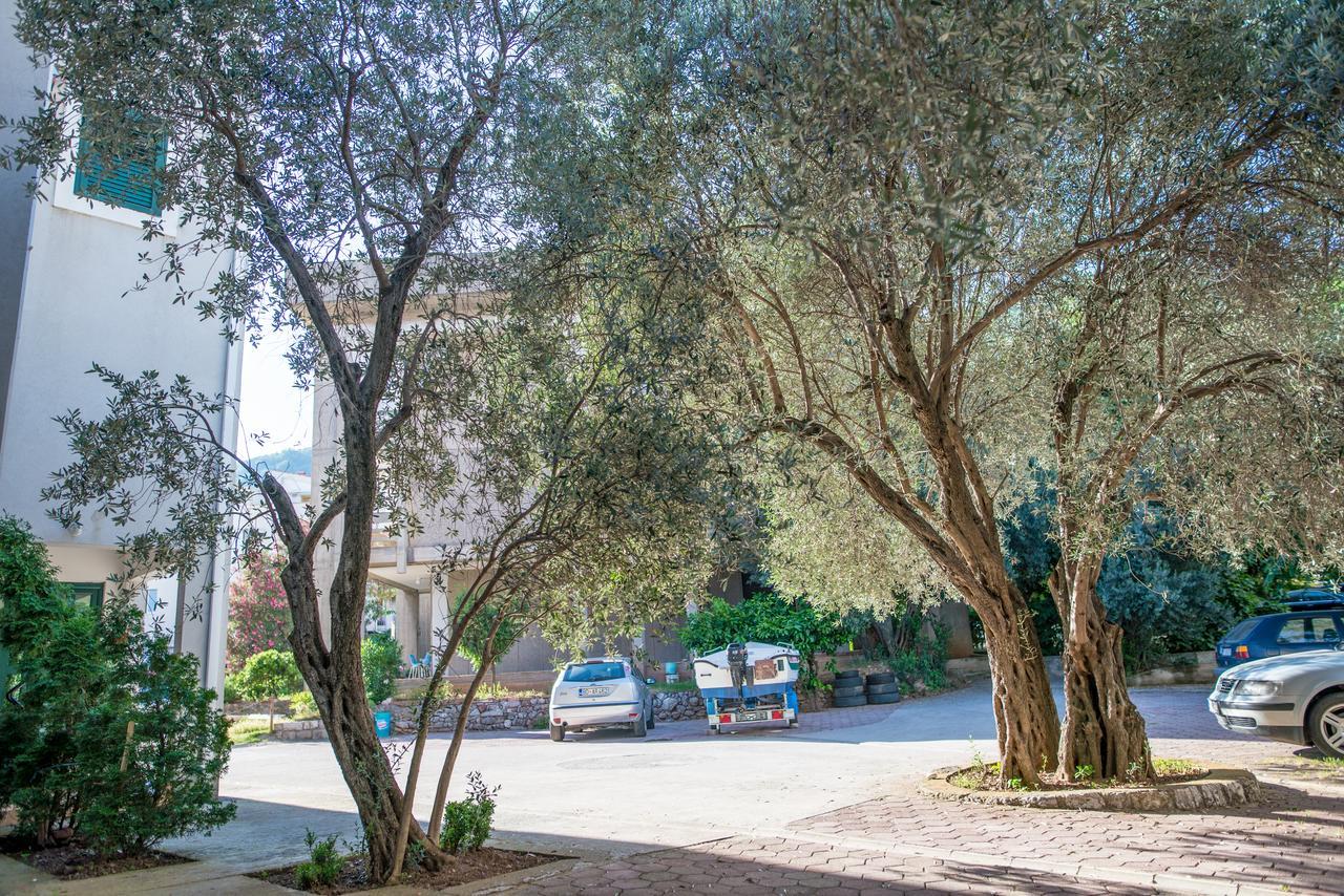 Apartman Zenta Petrovac Exterior photo